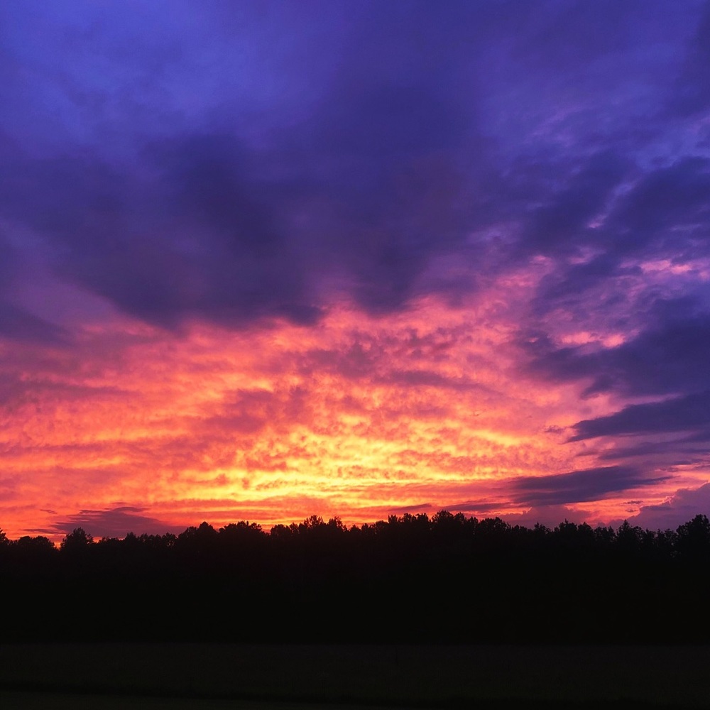 Meet your Posher, Leslie